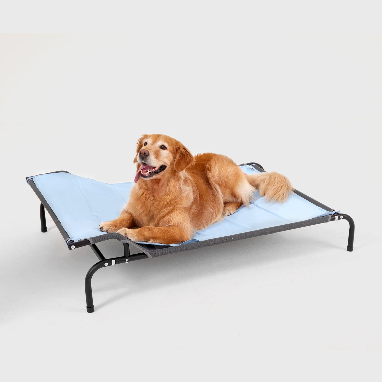 SweetNight Cooling Elevated Dog Bed